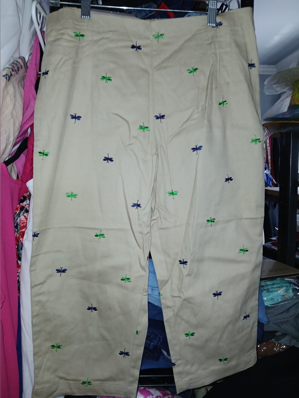 Men's Beige Embroidered Dragonfly Pants